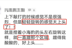 cw小海豹真人使用视频教学，小海豹到底怎么用？